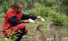 Thumbnail for article: Dierenvriend Hamilton: "Dit moet stoppen, honden mogen niet als vee gezien worden"