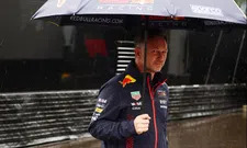 Thumbnail for article: ‘Dit zinnetje wilde Horner heel graag in persbericht De Vries/Ricciardo’