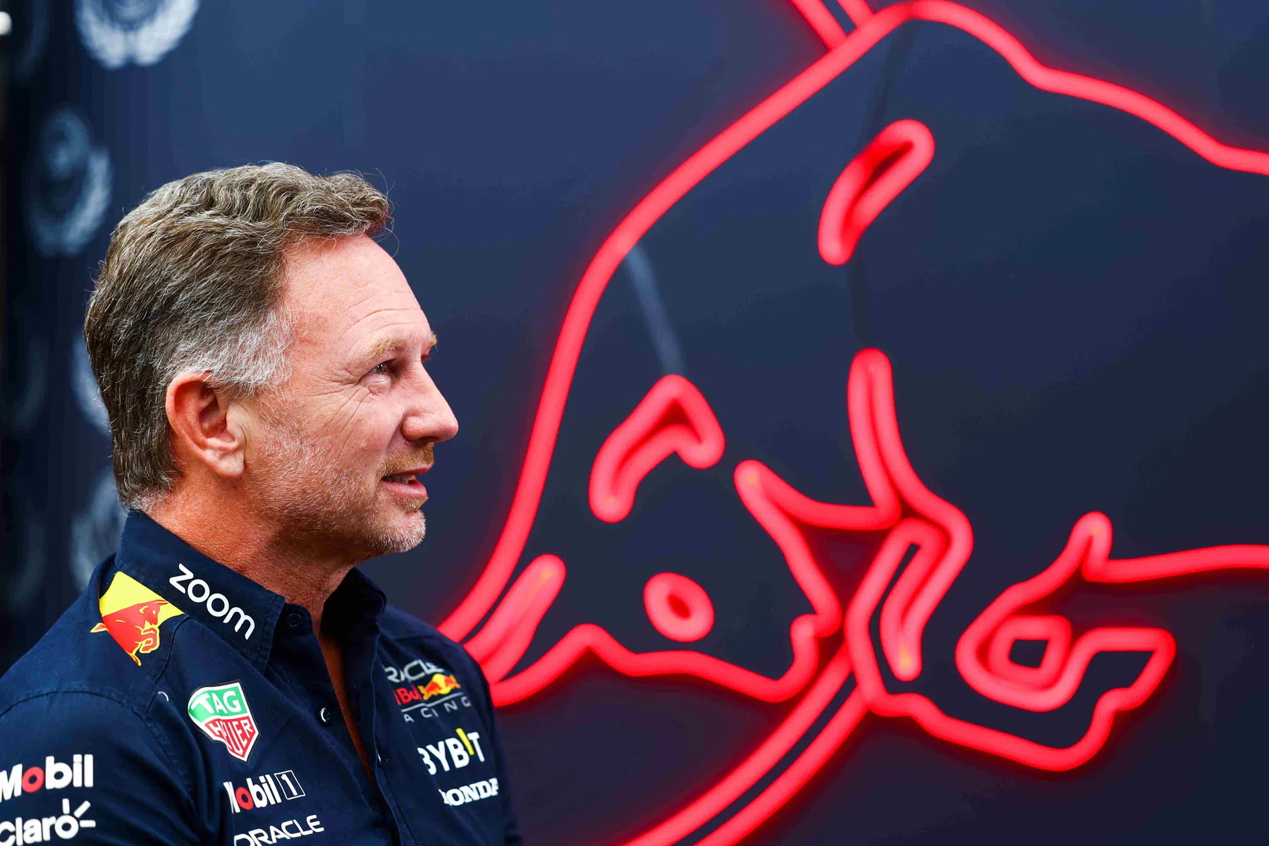 horner reaction to pole verstappen brazil