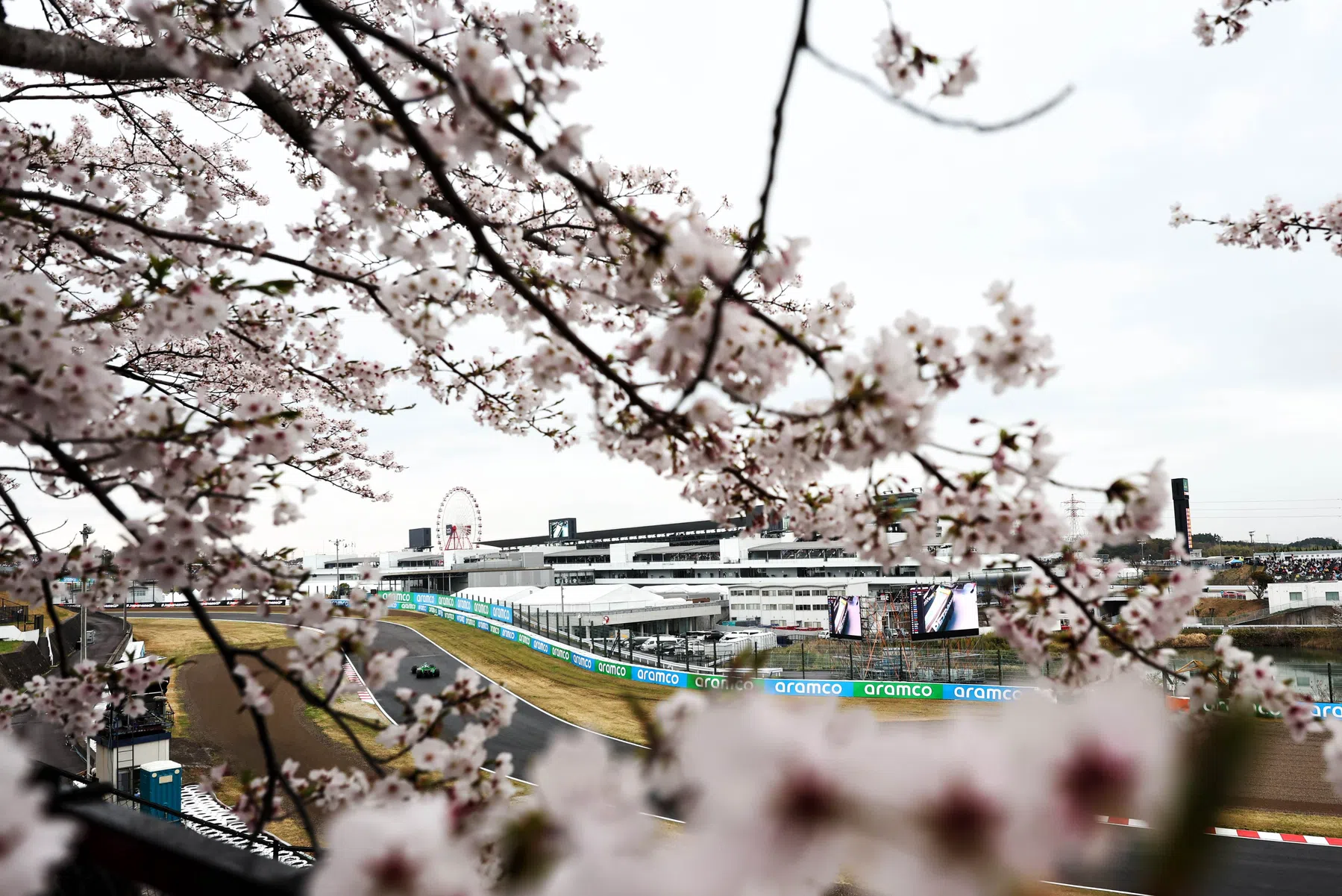 50 keer je inzet als max verstappen de gp van japan wint