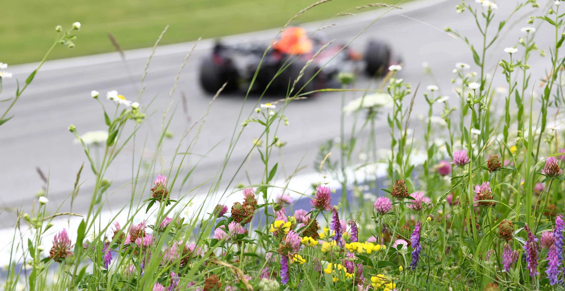 Corrida de Sprint na Áustria tem uma mudança no grid Albon do pitlane